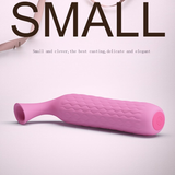 Female Nipple Stimulator / Sex Toy for Clitoral and Nipple Sucking - EVE's SECRETS