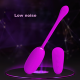 Female Remote Control Masturbator / Sex Toys For Clitoral Stimulations / Women's Egg Vibrator - EVE's SECRETS