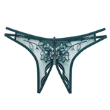 Ladies Transparent Embroidery Briefs / Adult Erotic Lingerie with Lace / Sexy Bikini Panties - EVE's SECRETS