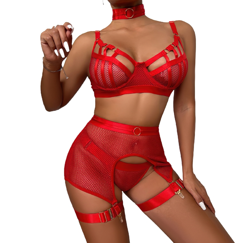 Luxury Hollow Out Exotic Sets With Garters / Sexy Hot Transparent Lingerie / Erotic Female Set - EVE's SECRETS