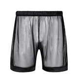 Men's Nightwear See-Though Lingerie Panties / Wetlook Mesh Lounge Boxer Shorts For Gay - EVE's SECRETS