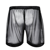 Men's Nightwear See-Though Lingerie Panties / Wetlook Mesh Lounge Boxer Shorts For Gay - EVE's SECRETS