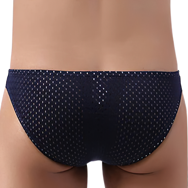 Men's Sexy Breathable U Pouch Underpants / Comfortable Low Waist Briefs / Fashion Male Underwear - EVE's SECRETS
