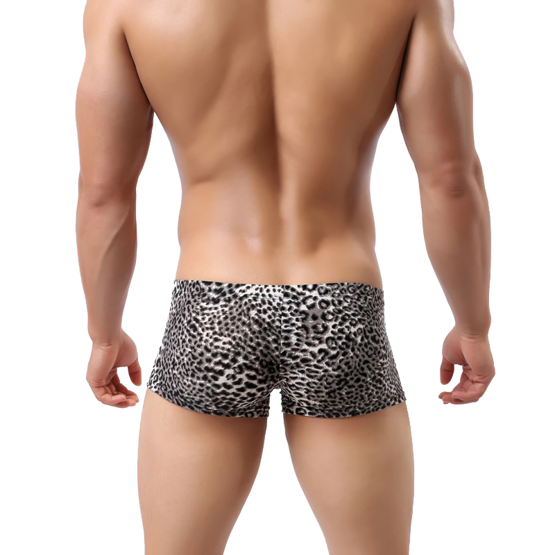 Men's Sexy Leopard Printed Underwear Boxer Shorts / Breathable Wild Style Underpants for Men - EVE's SECRETS