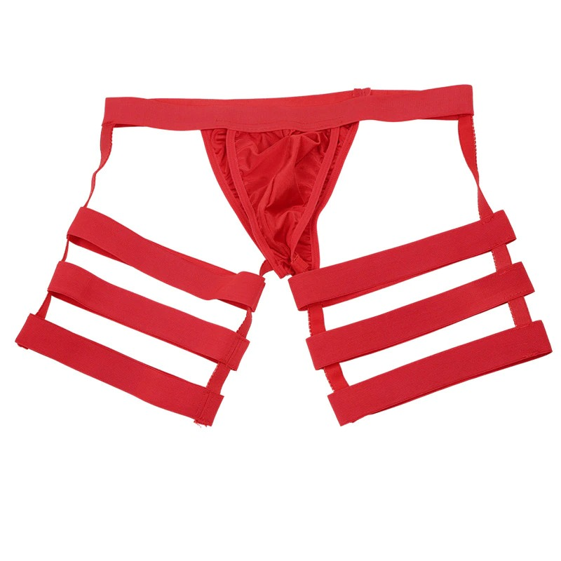 Men's Sexy Panties with Bulge Pouch and Garters / Erotic Gay Underpants Underwear - EVE's SECRETS