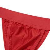 Men's Sexy Panties with Bulge Pouch and Garters / Erotic Gay Underpants Underwear - EVE's SECRETS