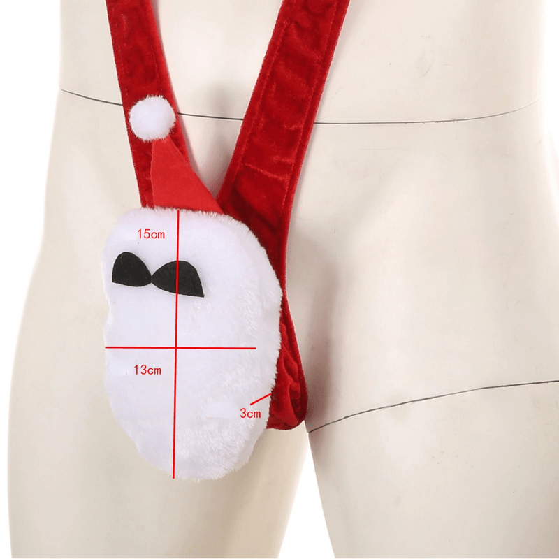 Men's Sexy Santa Briefs / Male Erotic Underwear / Cosplay Costume for Men - EVE's SECRETS