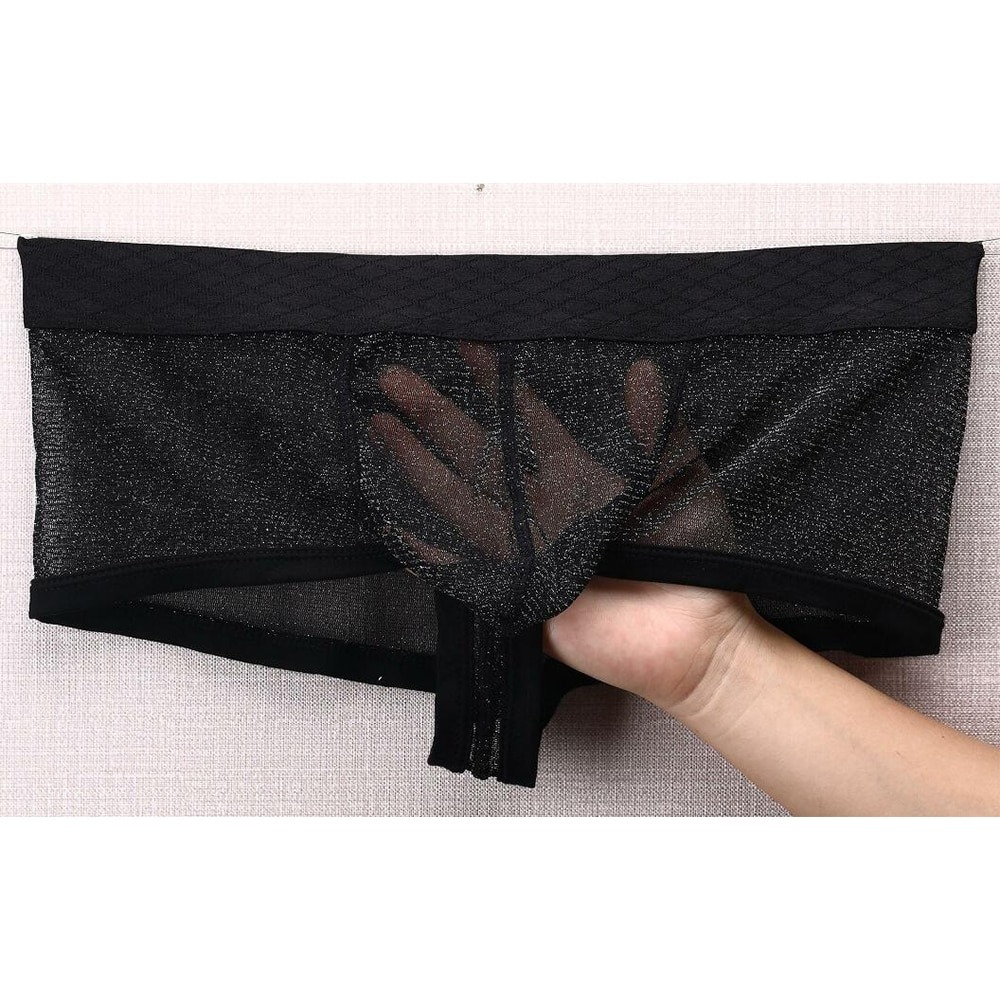 Men's Sexy Transparent Underwear / Ultra-Thin Low Waist Boxer Briefs / Male Mesh Panties - EVE's SECRETS
