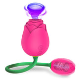 Powerful Rose Sucking Vibrator for Women with Love Egg / Clitoris Stimulation Sex Toys