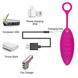 Remote Control Wireless G-Spot Vibrator / USB Rechargeable Vibrating Egg For Women - EVE's SECRETS