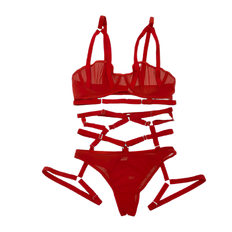 Sensual Transparent Erotic Lingerie Bandage / Intimate Female Bra Garters and Briefs - EVE's SECRETS