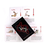 Sex Games for Adults / Couples Erotic Games/ Sexual Position Game Cards - EVE's SECRETS