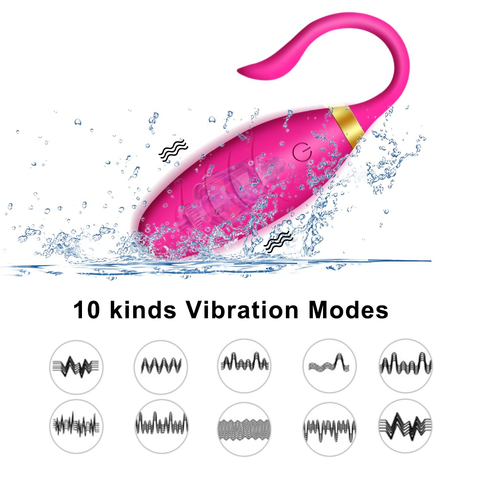 Sex toy for Women Masturbator / Wireless Remote Control Vibrator Panties / Vibrating Egg Wearable Dildo - EVE's SECRETS
