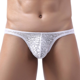 Sexy Male Mesh Briefs / Fashion Soft Breathless Panties for Men / Erotic Gay Lingerie - EVE's SECRETS