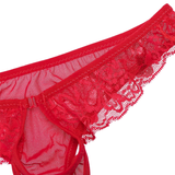 Sexy Men's Lace Transparent Underwear / See-Through Mesh Front Hole Lingerie Underpanties - EVE's SECRETS