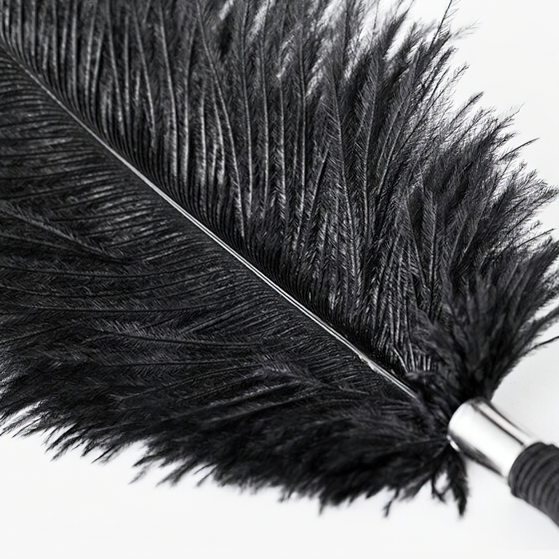 Somali Ostrich Feather Ticklers in Black and White Colors / BDSM Sex Toys for Men and Women - EVE's SECRETS