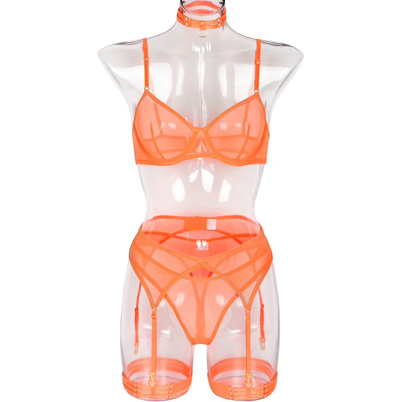 Woman's 3 Pieces Transparent Erotic Underwear / Ladys Bra Garters Brief Sets Lingerie - EVE's SECRETS