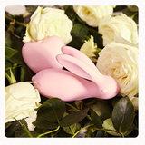 Women's Remote Egg Vibrators / Female Rabbit Design Sex Toys For Clit And Vaginal Masturbation - EVE's SECRETS
