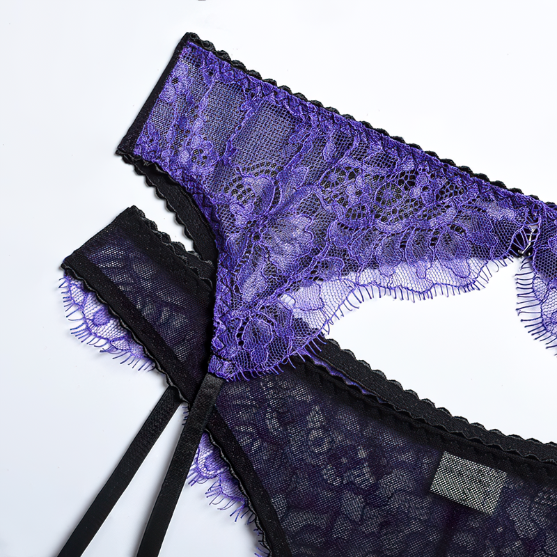 Women's Sensual Transparent Lace Lingerie / Exotic Female 3-Piece Garters Sets Underwear - EVE's SECRETS