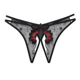 Women's Sexy Bikini Panties with Lace / Transparent Embroidery Briefs / Ladies Mesh Lingerie