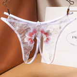 Women's Sexy Bikini Panties with Lace / Transparent Embroidery Briefs / Ladies Mesh Lingerie - EVE's SECRETS